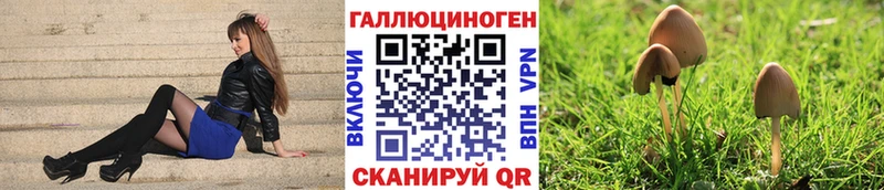 продажа наркотиков  Очёр  Галлюциногенные грибы мицелий 